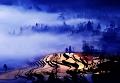 649 - MORNING SUNLIGHT - TANG ZHIMING - china